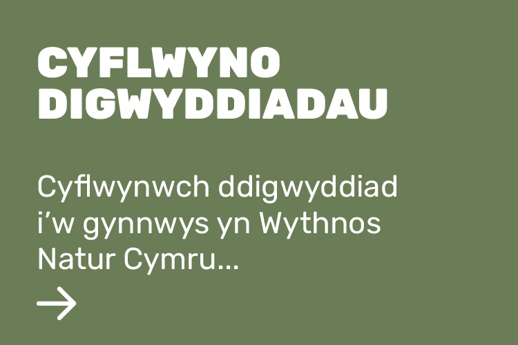 Cyflwynwch ddigwyddiad i’w gynnwys yn Wythnos Natur Cymru